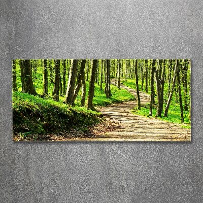 Quadro vetro acrilico Sentiero nella foresta