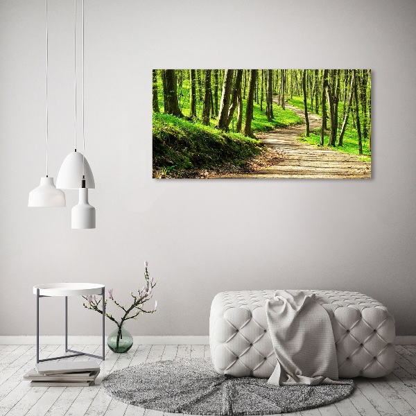 Quadro vetro acrilico Sentiero nella foresta
