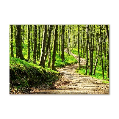 Quadro vetro acrilico Sentiero nella foresta