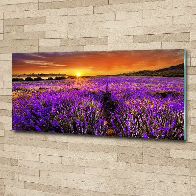 Quadro su vetro acrilico Campo di lavanda
