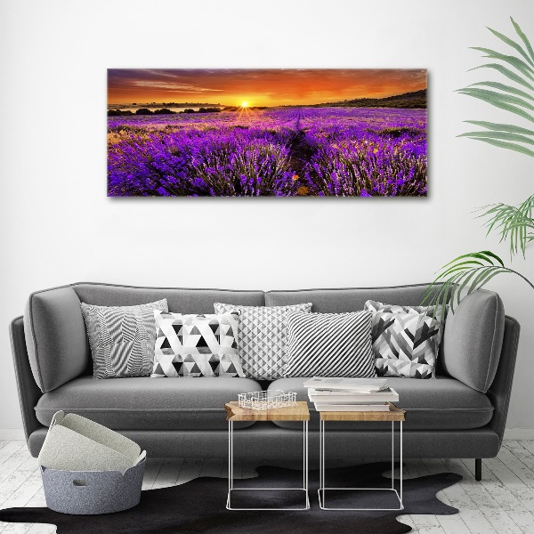 Quadro su vetro acrilico Campo di lavanda