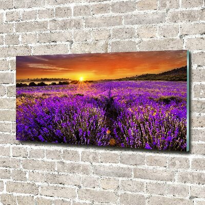 Quadro su vetro acrilico Campo di lavanda