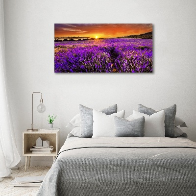 Quadro su vetro acrilico Campo di lavanda