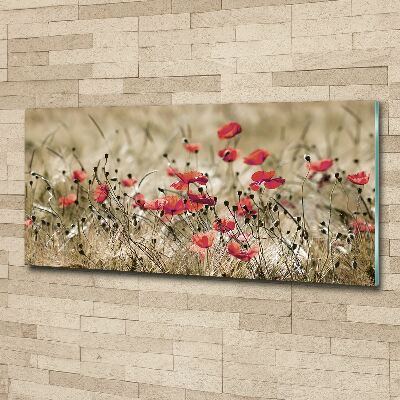 Quadro in vetro acrilico Papaveri