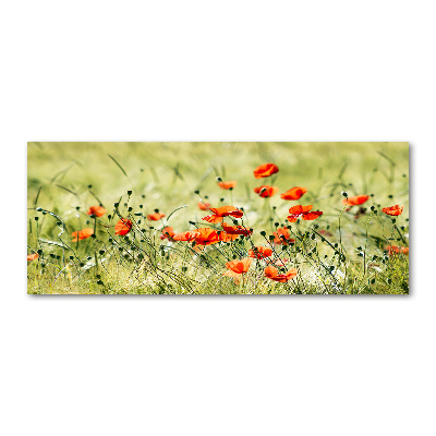 Quadro in vetro acrilico Papaveri