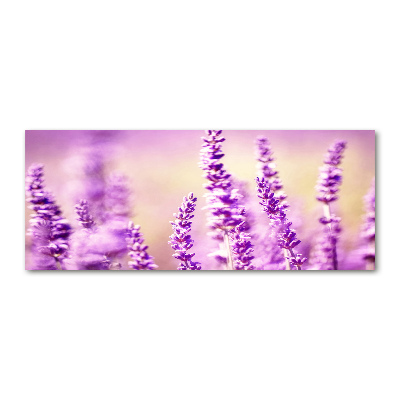 Quadro vetro acrilico Lavanda