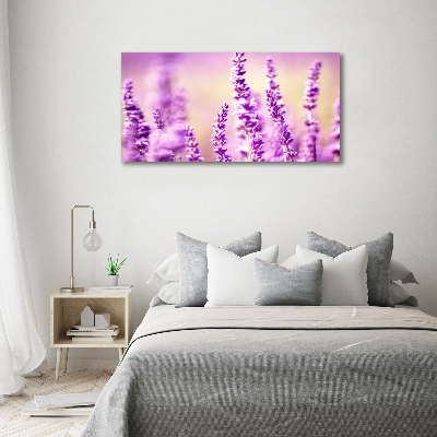 Quadro vetro acrilico Lavanda