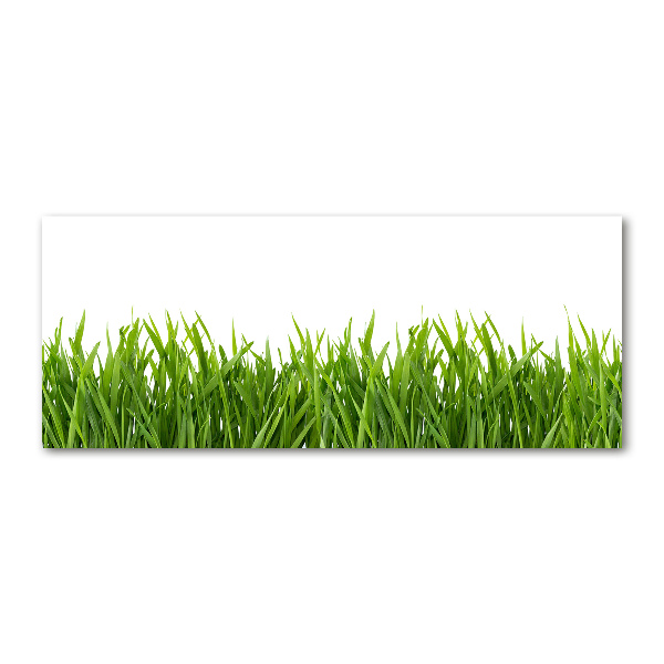 Quadro su vetro acrilico Erba