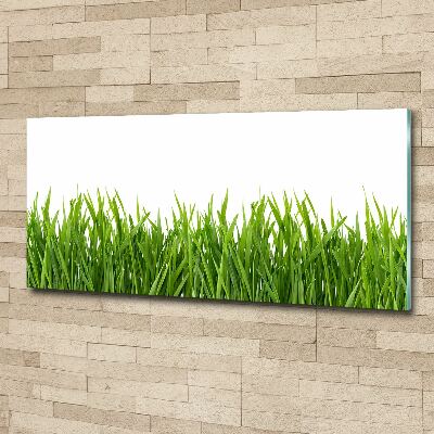 Quadro su vetro acrilico Erba