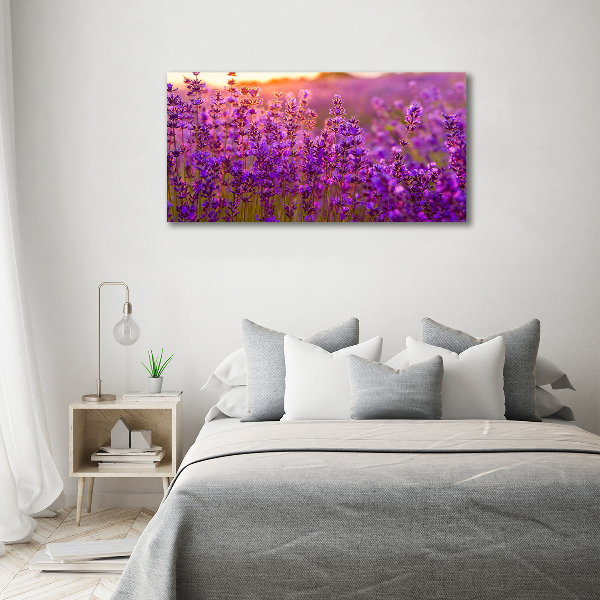 Quadro in vetro acrilico Campo di lavanda