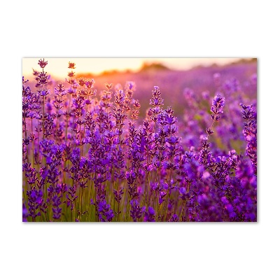 Quadro in vetro acrilico Campo di lavanda