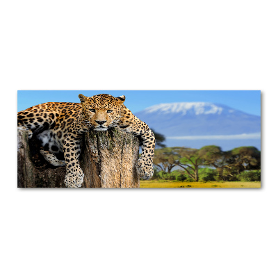 Quadro vetro acrilico Leopardo su un ceppo d'albero