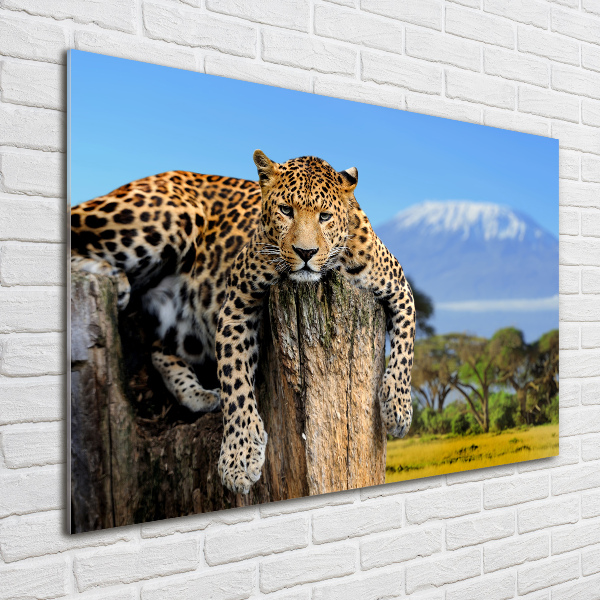 Quadro vetro acrilico Leopardo su un ceppo d'albero