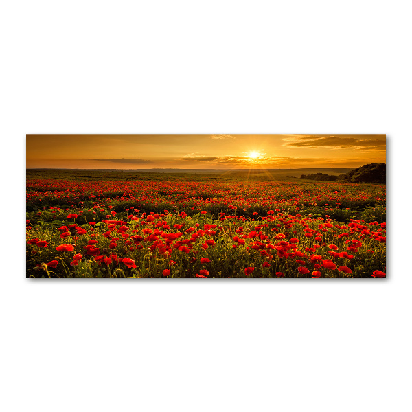 Quadro vetro acrilico Campo di papaveri