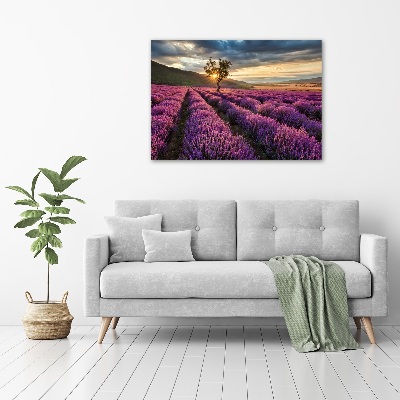 Quadro su vetro acrilico Campo di lavanda