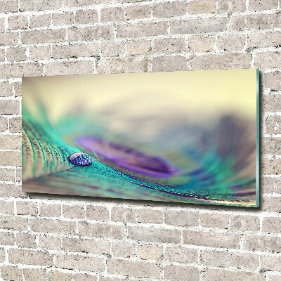 Quadro vetro acrilico Una goccia su una piuma