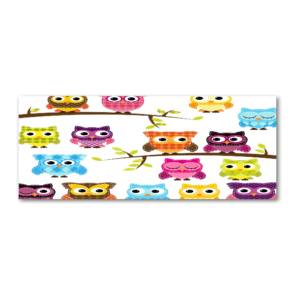 Quadro vetro acrilico Gufi colorati