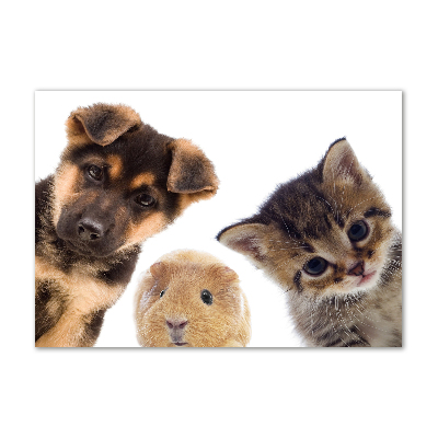 Quadro su vetro acrilico Animali domestici