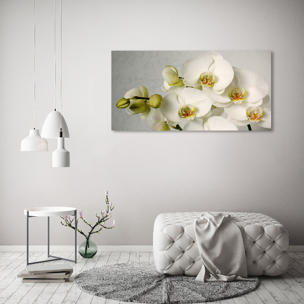 Quadro su vetro acrilico Orchidea bianca