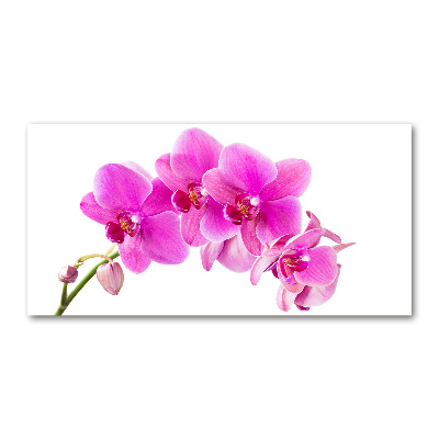 Quadro su vetro acrilico Orchidea rosa