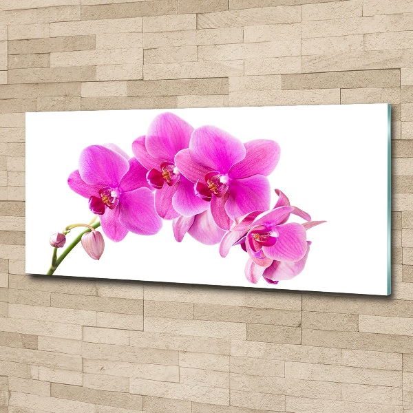 Quadro su vetro acrilico Orchidea rosa