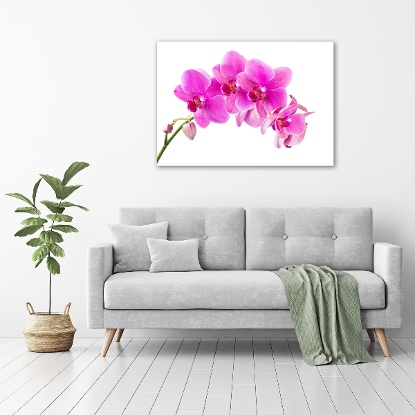 Quadro su vetro acrilico Orchidea rosa