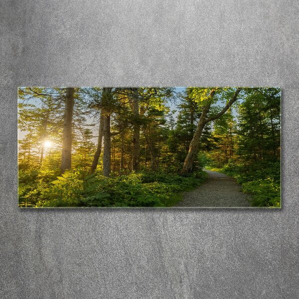 Quadro in vetro acrilico Foresta