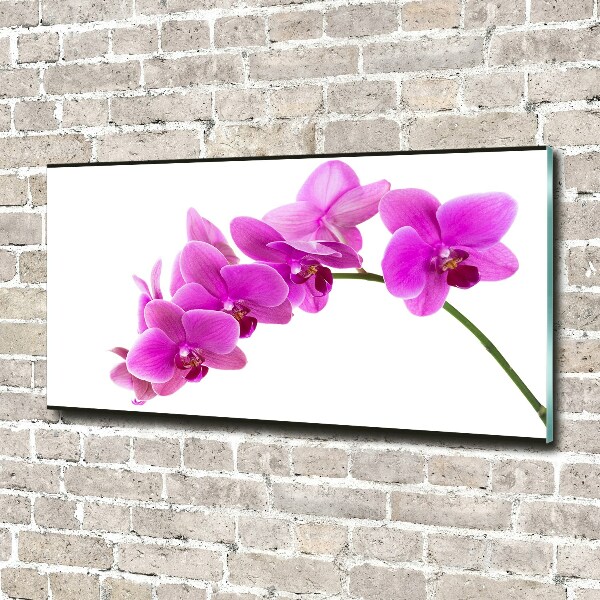 Quadro vetro acrilico Orchidea rosa