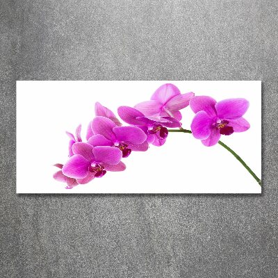 Quadro vetro acrilico Orchidea rosa