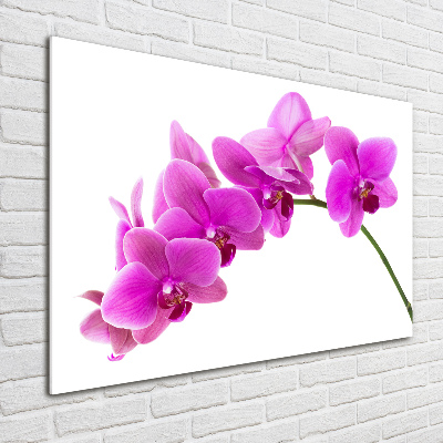 Quadro vetro acrilico Orchidea rosa