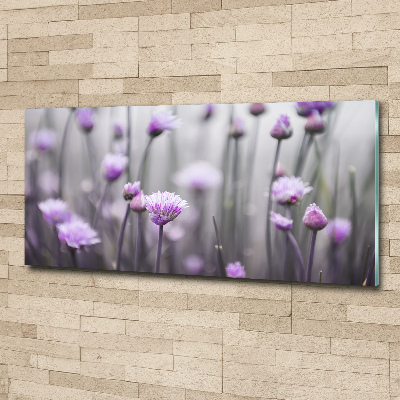 Quadro su vetro acrilico Fiori di erba cipollina