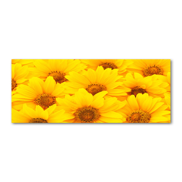 Quadro in vetro acrilico Girasoli