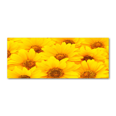 Quadro in vetro acrilico Girasoli