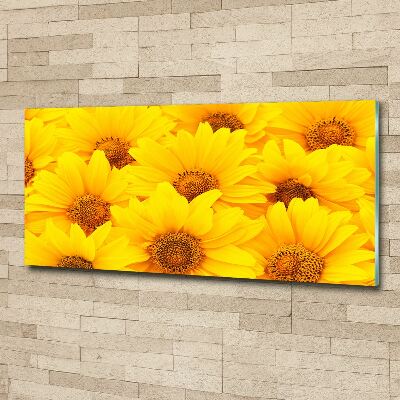 Quadro in vetro acrilico Girasoli