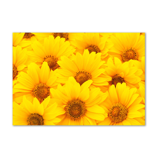 Quadro in vetro acrilico Girasoli