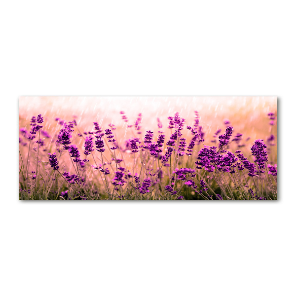 Quadro vetro acrilico Lavanda