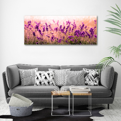 Quadro vetro acrilico Lavanda