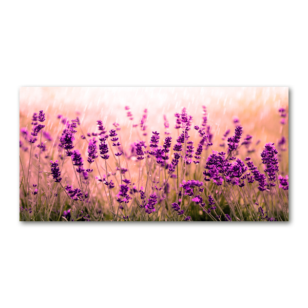 Quadro vetro acrilico Lavanda