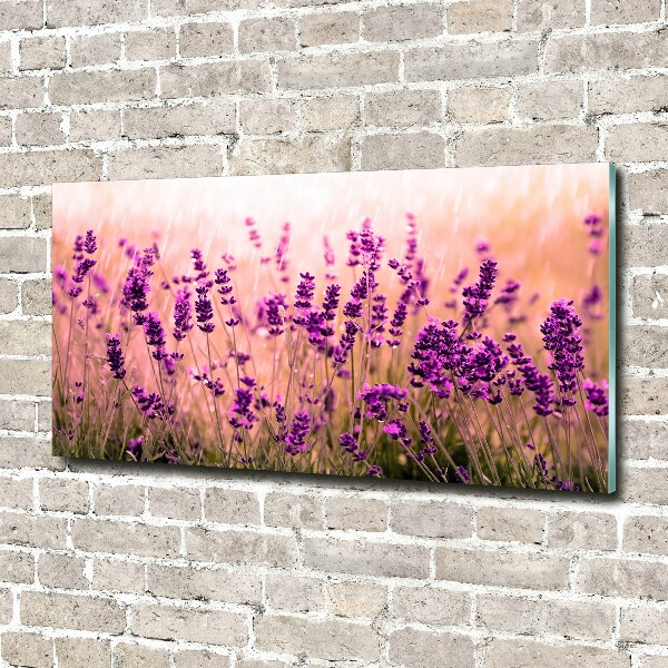 Quadro vetro acrilico Lavanda