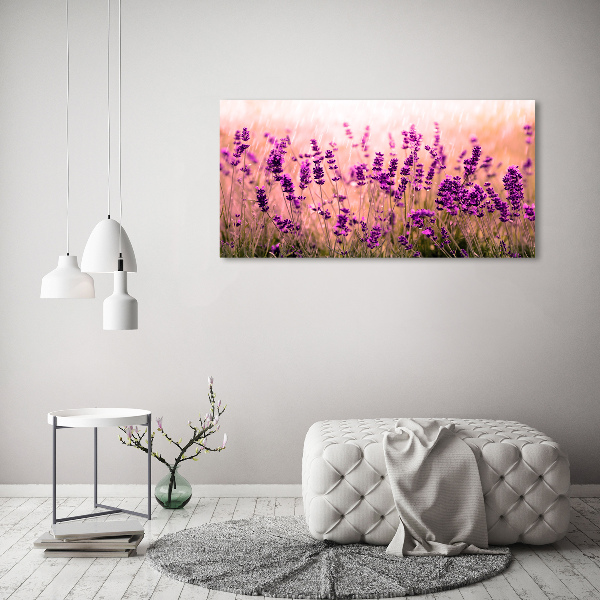 Quadro vetro acrilico Lavanda
