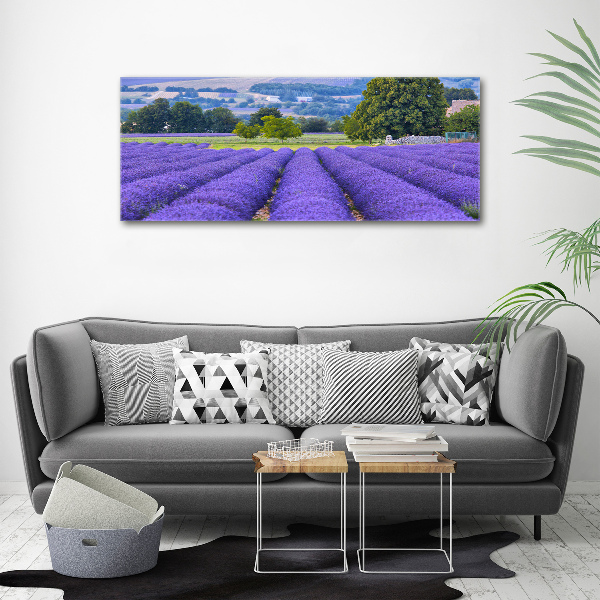 Quadro in vetro acrilico Campo di lavanda