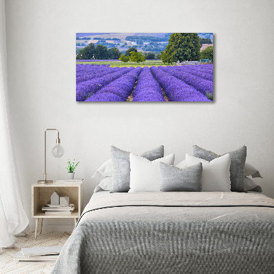 Quadro in vetro acrilico Campo di lavanda