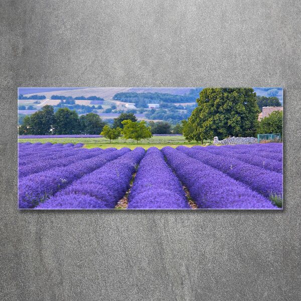 Quadro in vetro acrilico Campo di lavanda