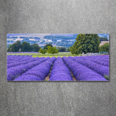 Quadro in vetro acrilico Campo di lavanda
