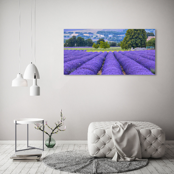 Quadro in vetro acrilico Campo di lavanda