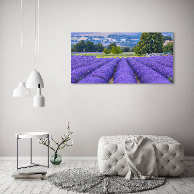 Quadro in vetro acrilico Campo di lavanda