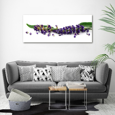 Quadro su vetro acrilico Lavanda