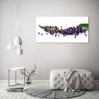 Quadro su vetro acrilico Lavanda