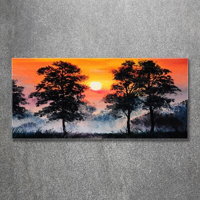 Quadro vetro acrilico Foresta del tramonto