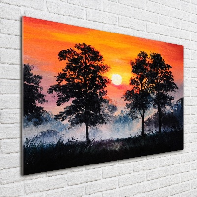 Quadro vetro acrilico Foresta del tramonto